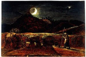 Un champ de blé au clair de lune avec l'étoile du soir