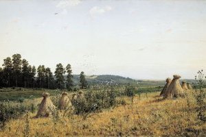 Polésie paysage