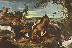 Chasse au cerf