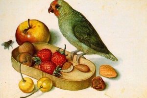  Nature morte au perroquet