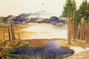 Étang dans la forêt