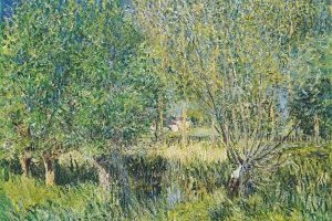 Saules pleureurs sur les rives de l'Orvanne