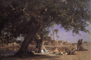 Vue de Shubra au Caire