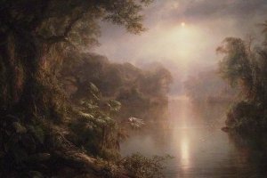 Matinée sous les tropiques