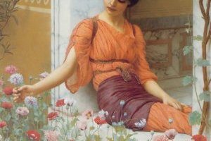 Fleurs d'été